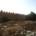 IMG 0421
