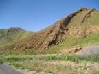 IMG 0310