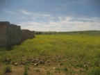 IMG 9398